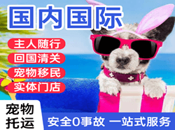 吕梁大武机场空运国际宠物托运 【国